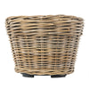 Rattan Kobo Conical Indoor & Outdoor Planter Basket with Plastic Pot