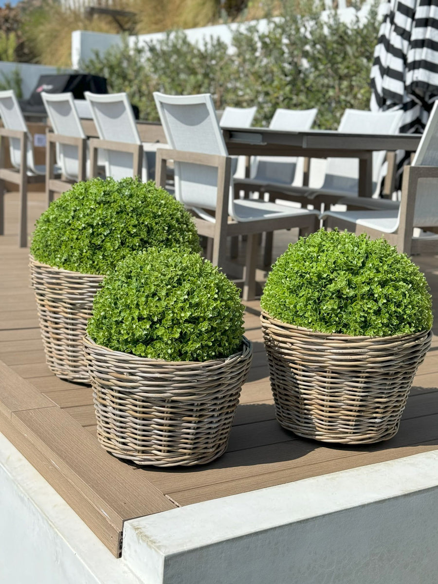 Rattan Kobo Conical Indoor & Outdoor Planter Basket with Plastic Pot