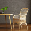 Rattan Loop Armchair with Seat Cushion, Set of 2 Chairs